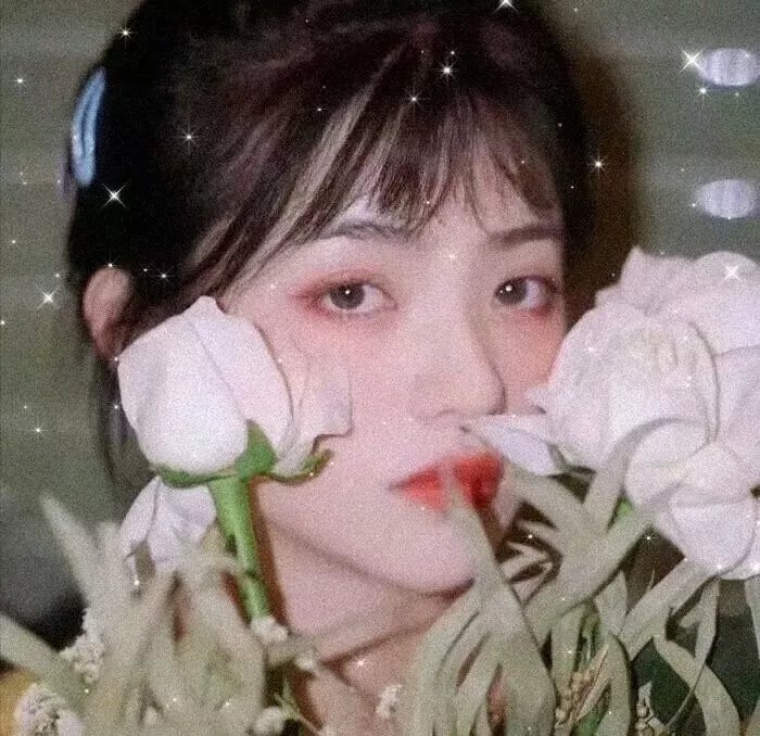 左轮百合